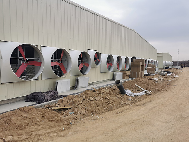 玻璃鋼風(fēng)機