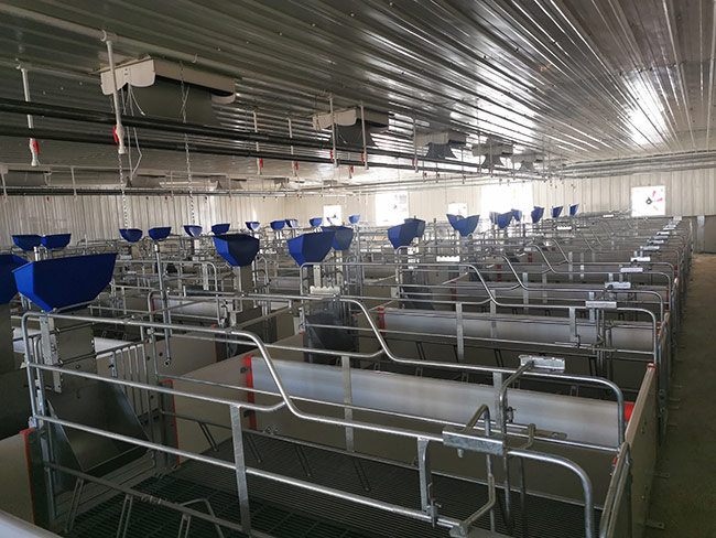 科學(xué)合理的豬舍構(gòu)造保障