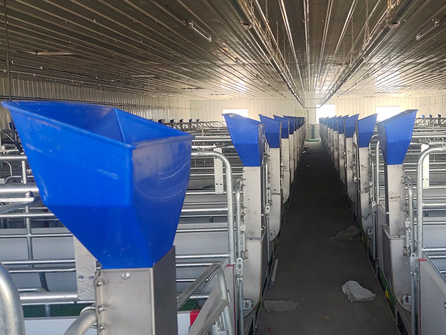 產(chǎn)房自由采食槽