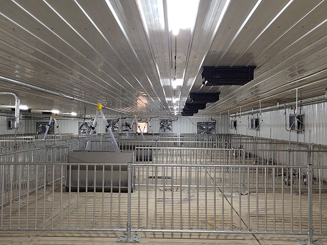 自動(dòng)養(yǎng)豬設(shè)備的優(yōu)點(diǎn)