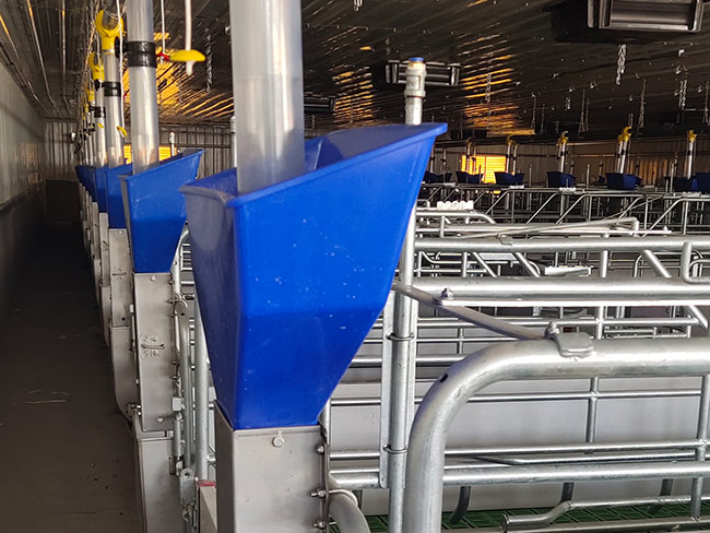 產(chǎn)房自由采食槽